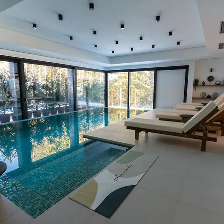Вилла Valera Forest House *