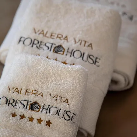 Valera Forest House Hlevci