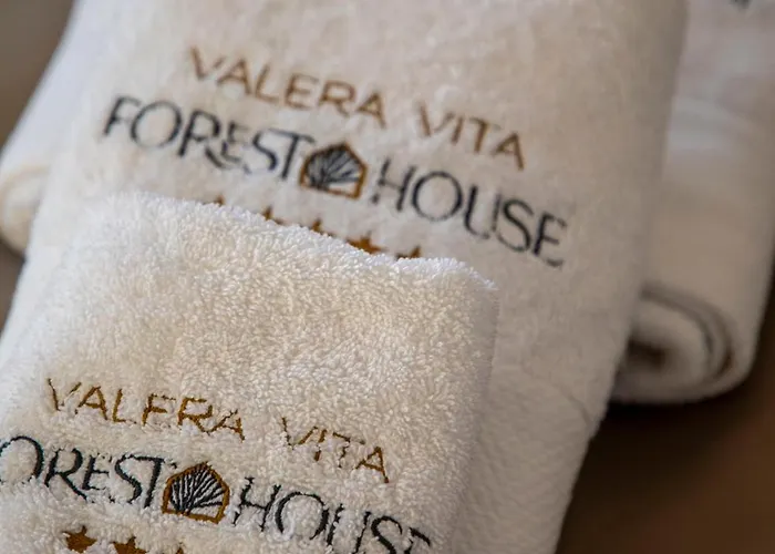 Valera Forest House Hlevci