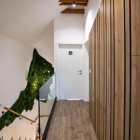 Valera Forest House Villa